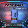 Almacenes europeos ZOOY vapor 22000 PUFF de alta capacidad